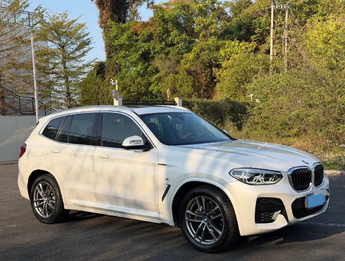 2021 BMW X3 2.0T 224HP L4 8AT,autocango,china used car exporter,china ev exporter,chinese used car exporter,chinese used ev exporter