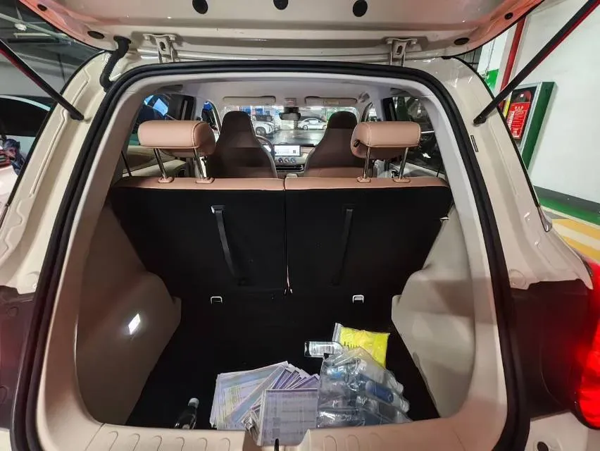 2025 WuLing BinGuo BEV,autocango,china used car exporter,china ev exporter,chinese used car exporter,chinese used ev exporter