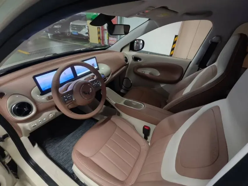 2025 WuLing BinGuo BEV,autocango,china used car exporter,china ev exporter,chinese used car exporter,chinese used ev exporter