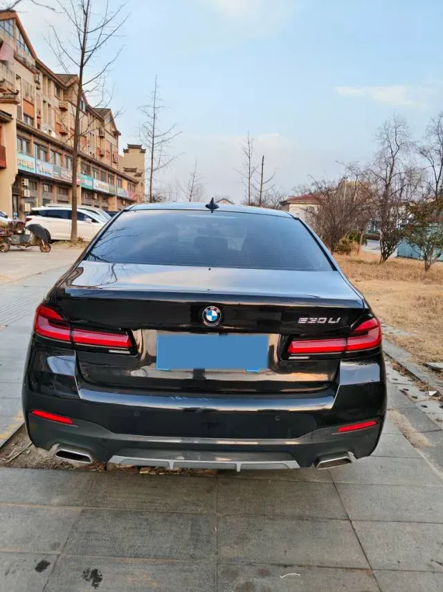 2022 BMW 5 Series 2.0T 252HP L4 8AT,autocango,china used car exporter,china ev exporter,chinese used car exporter,chinese used ev exporter
