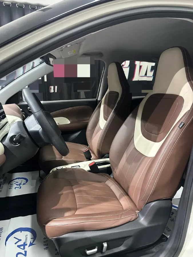 2023 WuLing BinGuo BEV 37.9KWH,autocango,china used car exporter,china ev exporter,chinese used car exporter,chinese used ev exporter