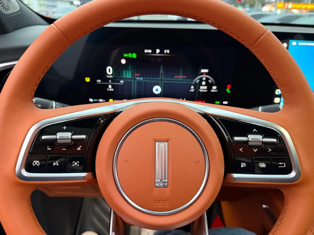 2023 WEY BlueMountain 1.5T 154HP L4 2DHT PHEV 44.5KWH,autocango,china used car exporter,china ev exporter,chinese used car exporter,chinese used ev exporter