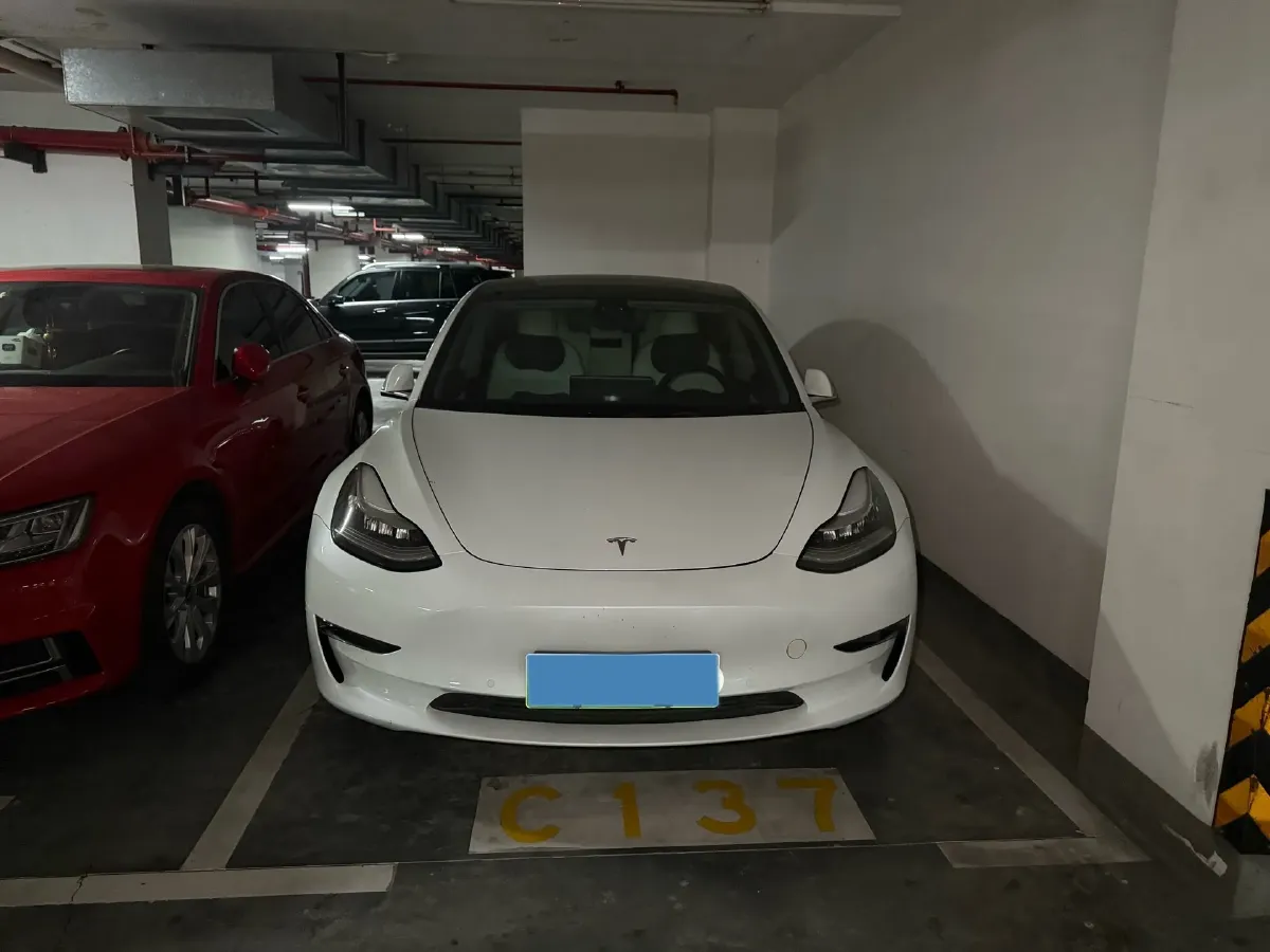 2019 Tesla Model 3 BEV 81KWH,autocango,china used car exporter,china ev exporter,chinese used car exporter,chinese used ev exporter