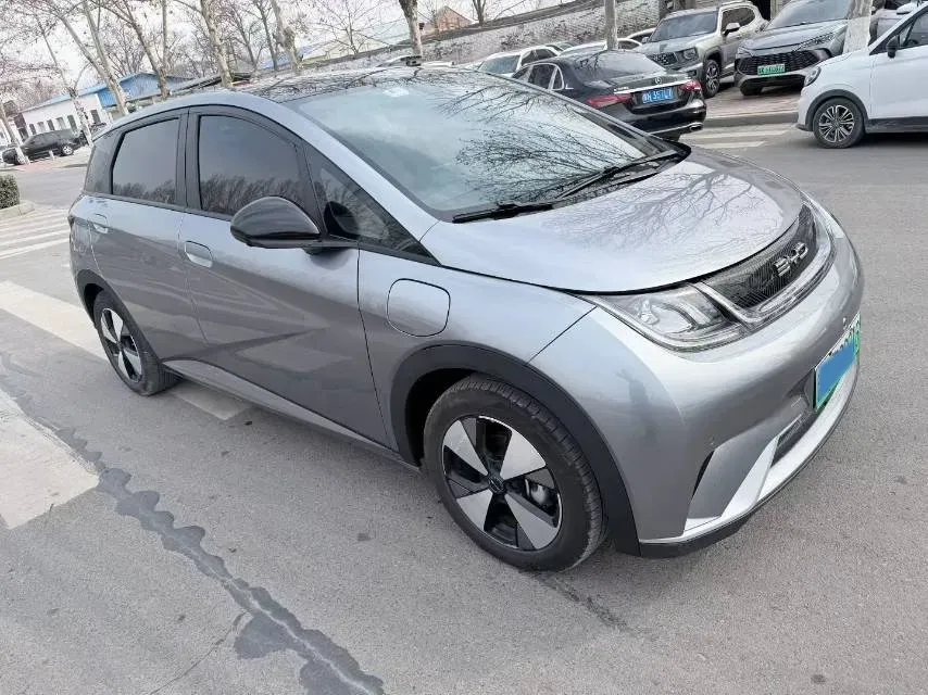 2023 BYD Dolphin BEV 44.928KWH,autocango,china used car exporter,china ev exporter,chinese used car exporter,chinese used ev exporter