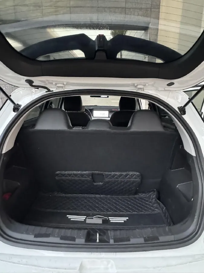 2024 Geometry E BEV 29.67KWH,autocango,china used car exporter,china ev exporter,chinese used car exporter,chinese used ev exporter