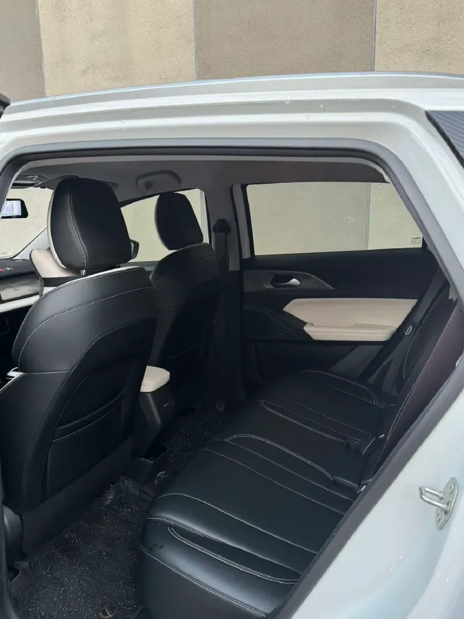 2024 Geometry E BEV 29.67KWH,autocango,china used car exporter,china ev exporter,chinese used car exporter,chinese used ev exporter