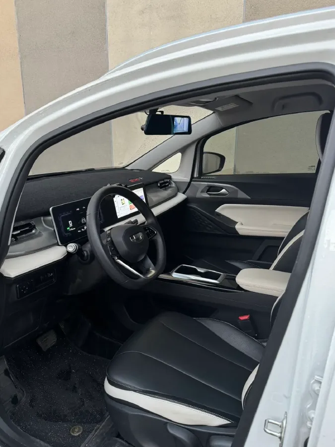 2024 Geometry E BEV 29.67KWH,autocango,china used car exporter,china ev exporter,chinese used car exporter,chinese used ev exporter