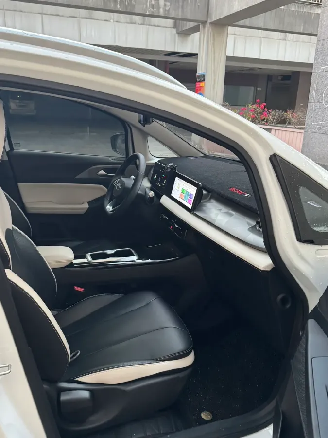 2024 Geometry E BEV 29.67KWH,autocango,china used car exporter,china ev exporter,chinese used car exporter,chinese used ev exporter