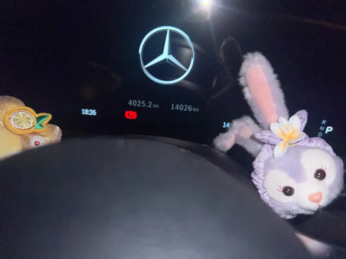 2024 Mercedes-Benz GLC Class 2.0T 204HP L4 9AT,autocango,china used car exporter,china ev exporter,chinese used car exporter,chinese used ev exporter