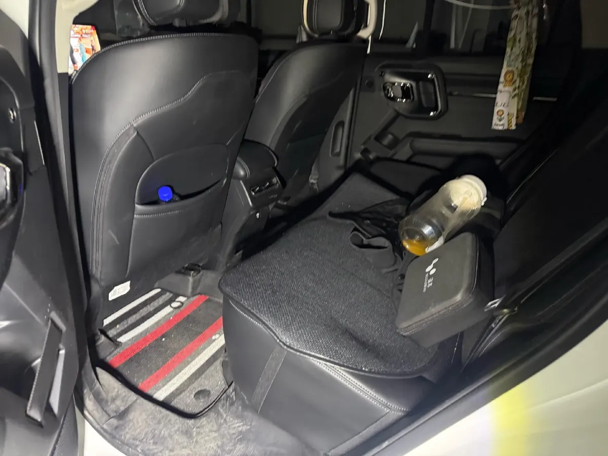 2023 Haval Dargo PLUS 2.0T 238HP L4 9DCT,autocango,china used car exporter,china ev exporter,chinese used car exporter,chinese used ev exporter