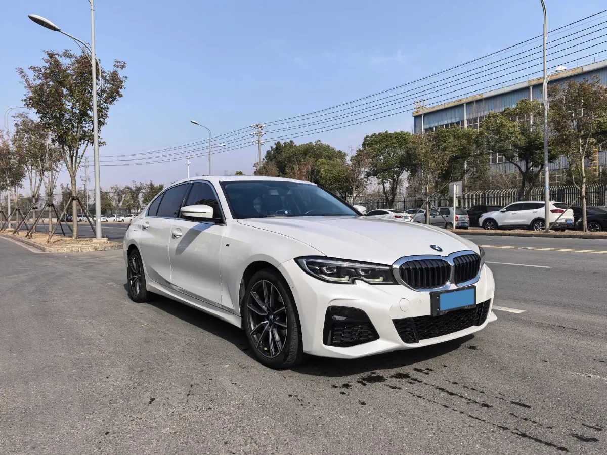 2021 BMW 3 Series 2.0T 156HP L4 8AT,autocango,china used car exporter,china ev exporter,chinese used car exporter,chinese used ev exporter