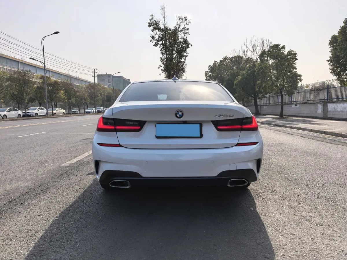 2021 BMW 3 Series 2.0T 156HP L4 8AT,autocango,china used car exporter,china ev exporter,chinese used car exporter,chinese used ev exporter
