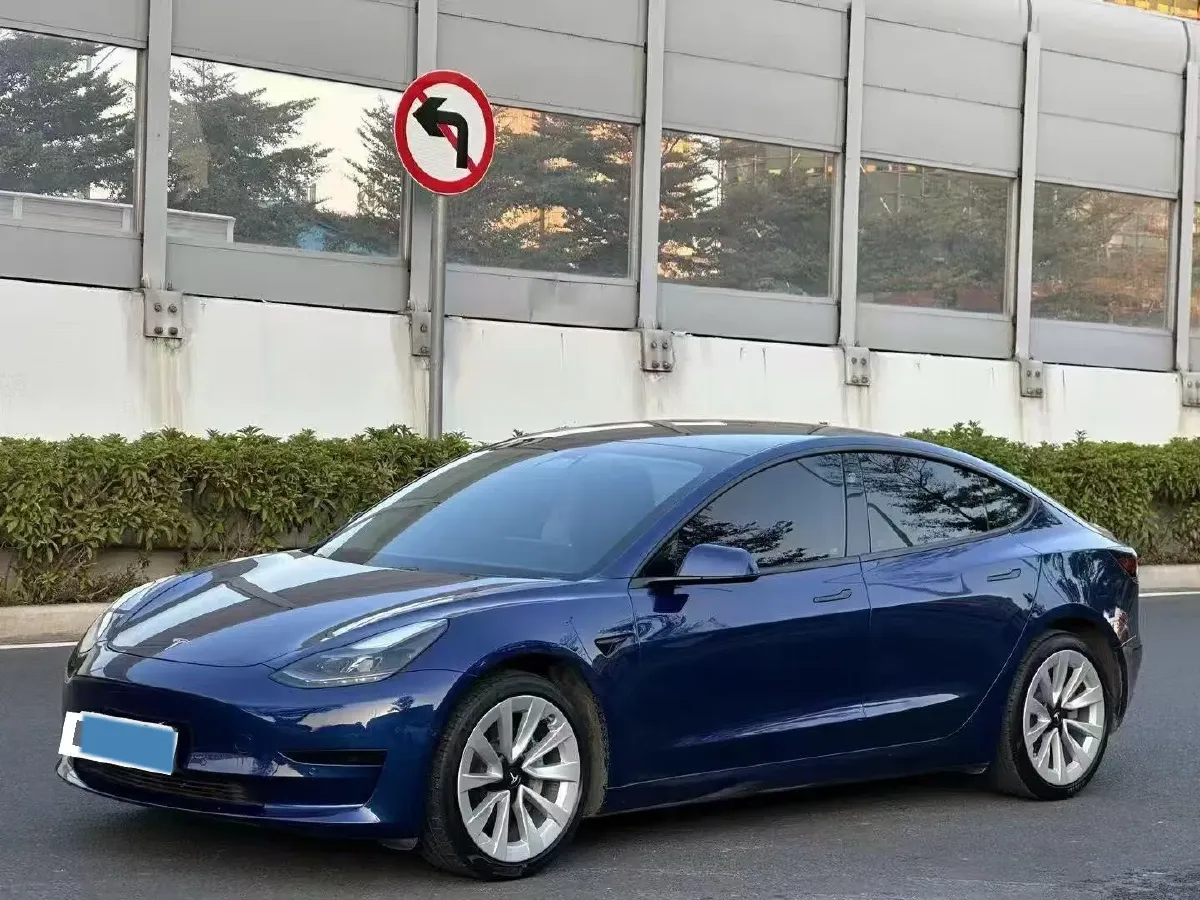 2021 Tesla Model 3 BEV 55KWH,autocango,china used car exporter,china ev exporter,chinese used car exporter,chinese used ev exporter