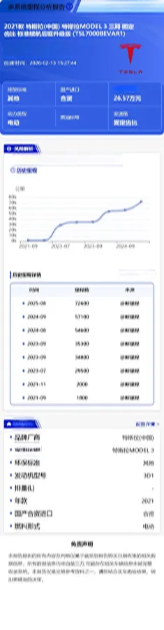 2021 Tesla Model 3 BEV 55KWH,autocango,china used car exporter,china ev exporter,chinese used car exporter,chinese used ev exporter