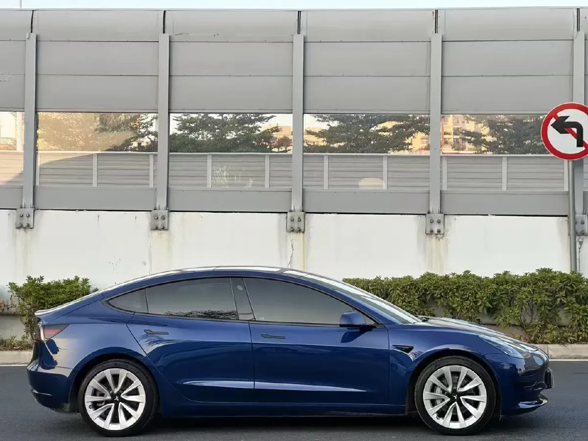 2021 Tesla Model 3 BEV 55KWH,autocango,china used car exporter,china ev exporter,chinese used car exporter,chinese used ev exporter