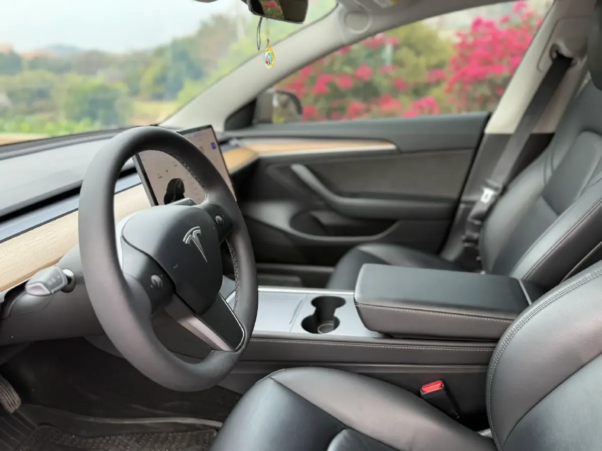 2021 Tesla Model 3 BEV 55KWH,autocango,china used car exporter,china ev exporter,chinese used car exporter,chinese used ev exporter