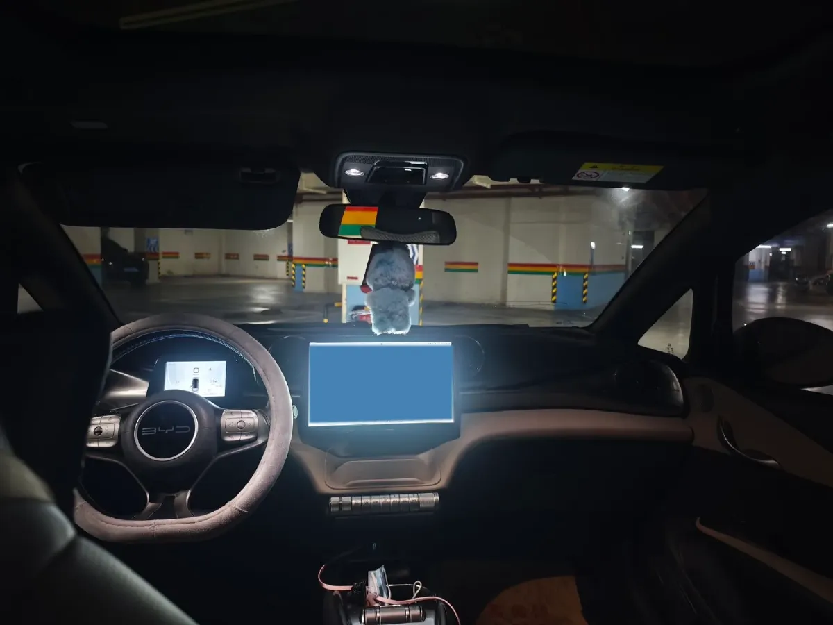 2023 BYD Dolphin BEV 44.928KWH,autocango,china used car exporter,china ev exporter,chinese used car exporter,chinese used ev exporter