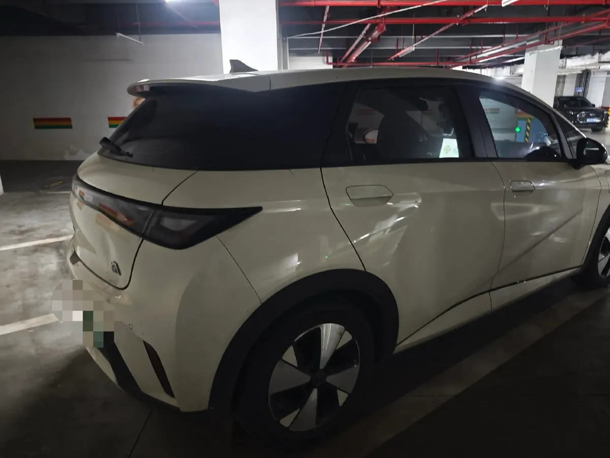 2023 BYD Dolphin BEV 44.928KWH,autocango,china used car exporter,china ev exporter,chinese used car exporter,chinese used ev exporter