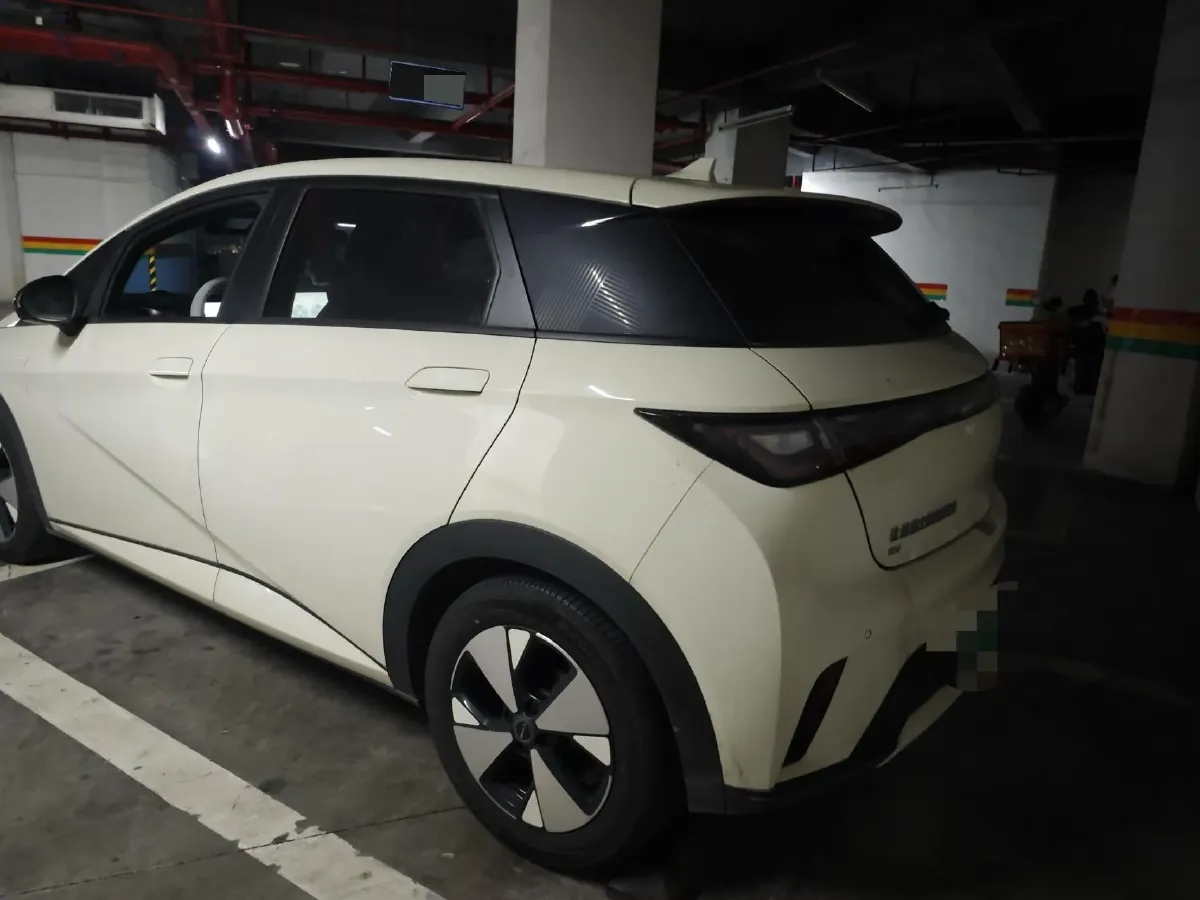 2023 BYD Dolphin BEV 44.928KWH,autocango,china used car exporter,china ev exporter,chinese used car exporter,chinese used ev exporter