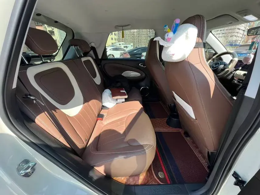 2023 WuLing BinGuo BEV 37.9KWH,autocango,china used car exporter,china ev exporter,chinese used car exporter,chinese used ev exporter