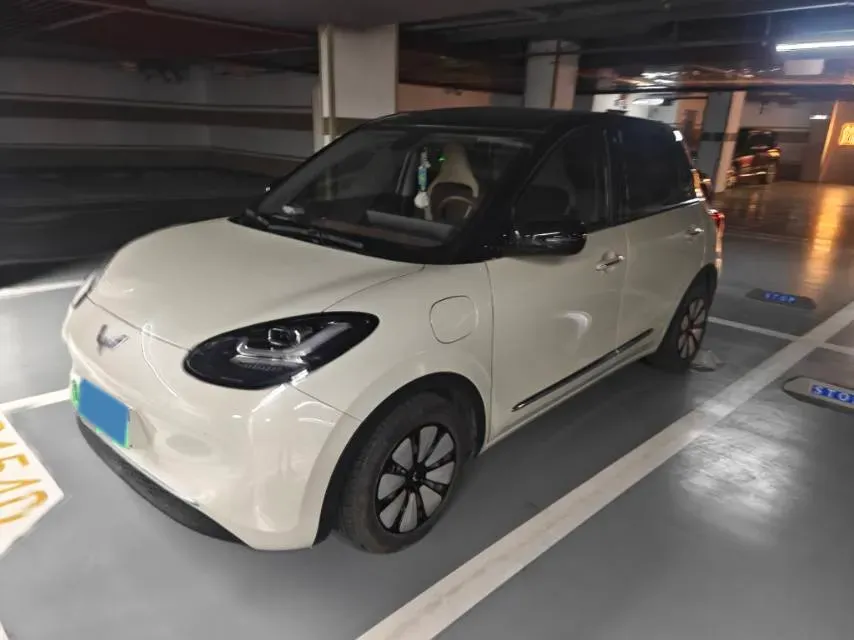 2023 WuLing BinGuo BEV 37.9KWH,autocango,china used car exporter,china ev exporter,chinese used car exporter,chinese used ev exporter