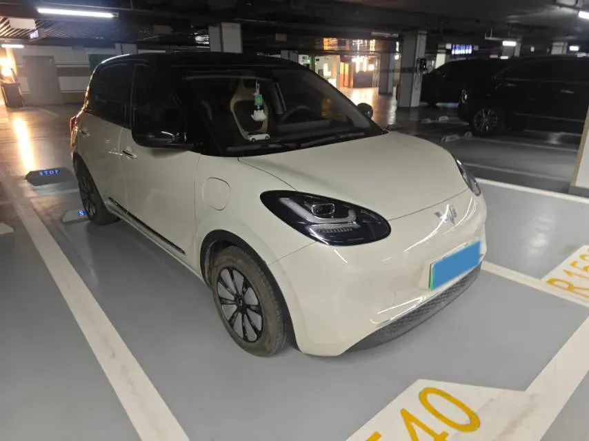 2023 WuLing BinGuo BEV 37.9KWH,autocango,china used car exporter,china ev exporter,chinese used car exporter,chinese used ev exporter
