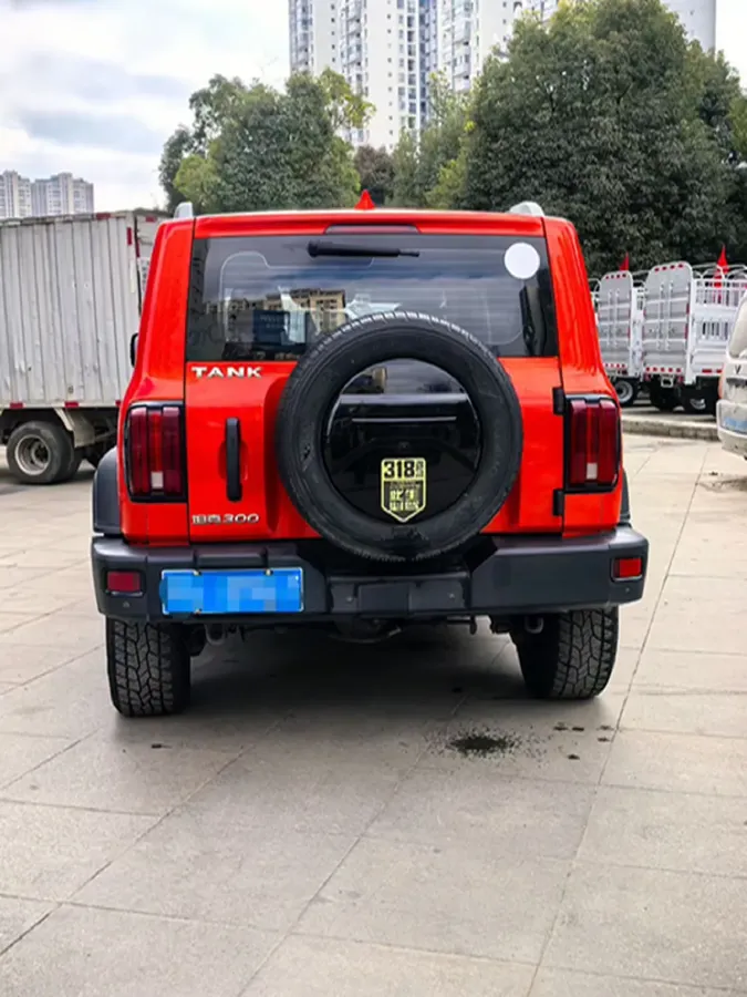 2023 Tank 300 2.0T 227HP L4 8AT,autocango,china used car exporter,china ev exporter,chinese used car exporter,chinese used ev exporter