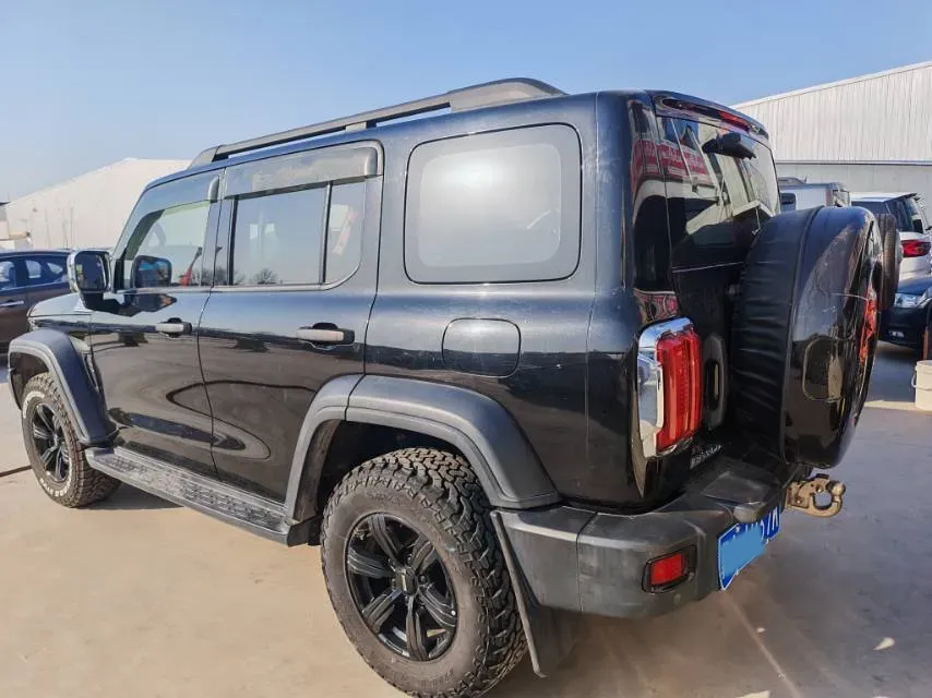 2021 Tank 300 2.0T 227HP L4 8AT,autocango,china used car exporter,china ev exporter,chinese used car exporter,chinese used ev exporter