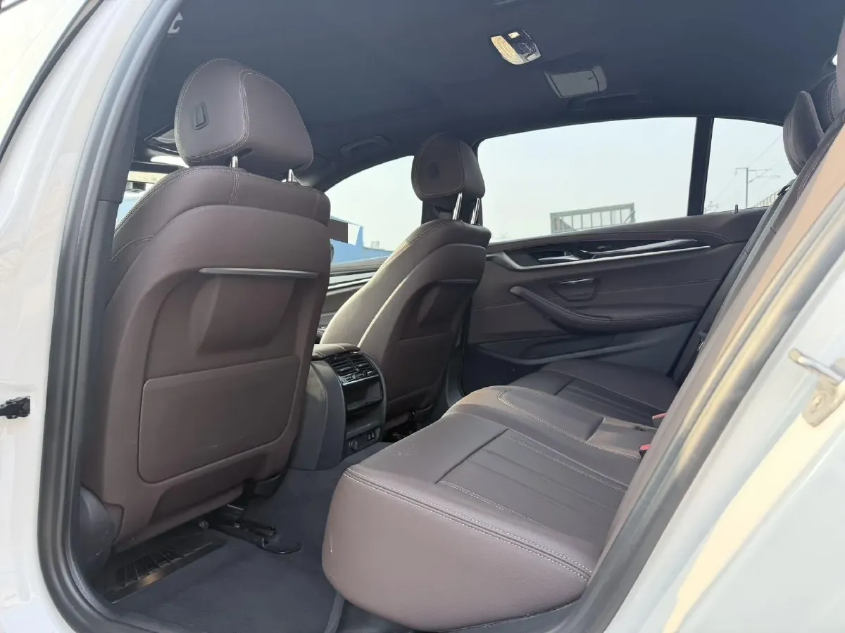 2020 BMW 5 Series 2.0T 184HP L4 8AT,autocango,china used car exporter,china ev exporter,chinese used car exporter,chinese used ev exporter