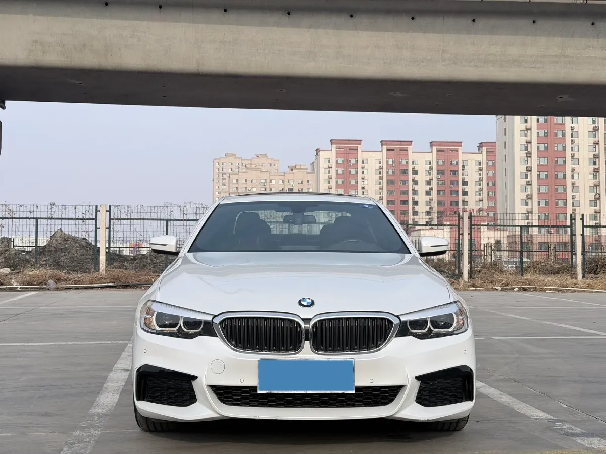 2020 BMW 5 Series 2.0T 184HP L4 8AT,autocango,china used car exporter,china ev exporter,chinese used car exporter,chinese used ev exporter