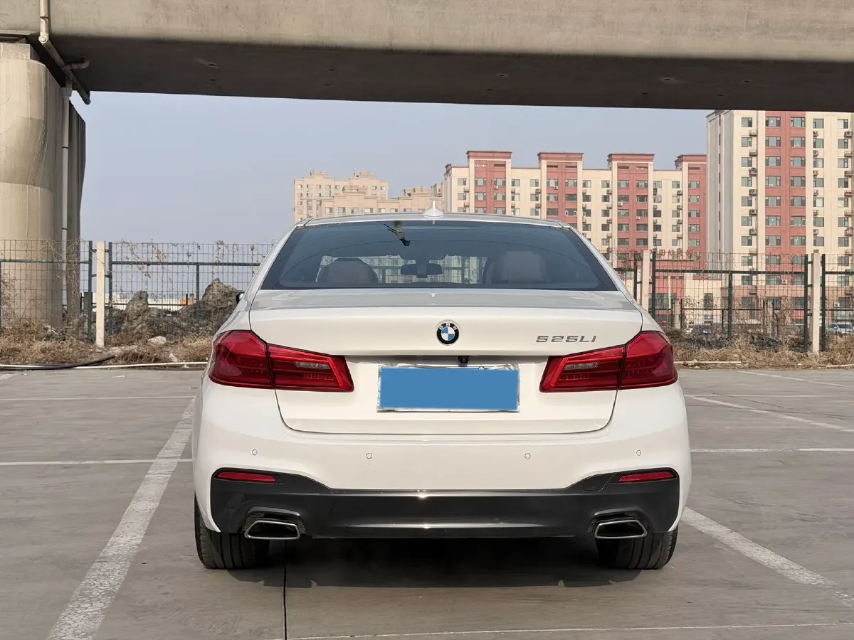 2020 BMW 5 Series 2.0T 184HP L4 8AT,autocango,china used car exporter,china ev exporter,chinese used car exporter,chinese used ev exporter