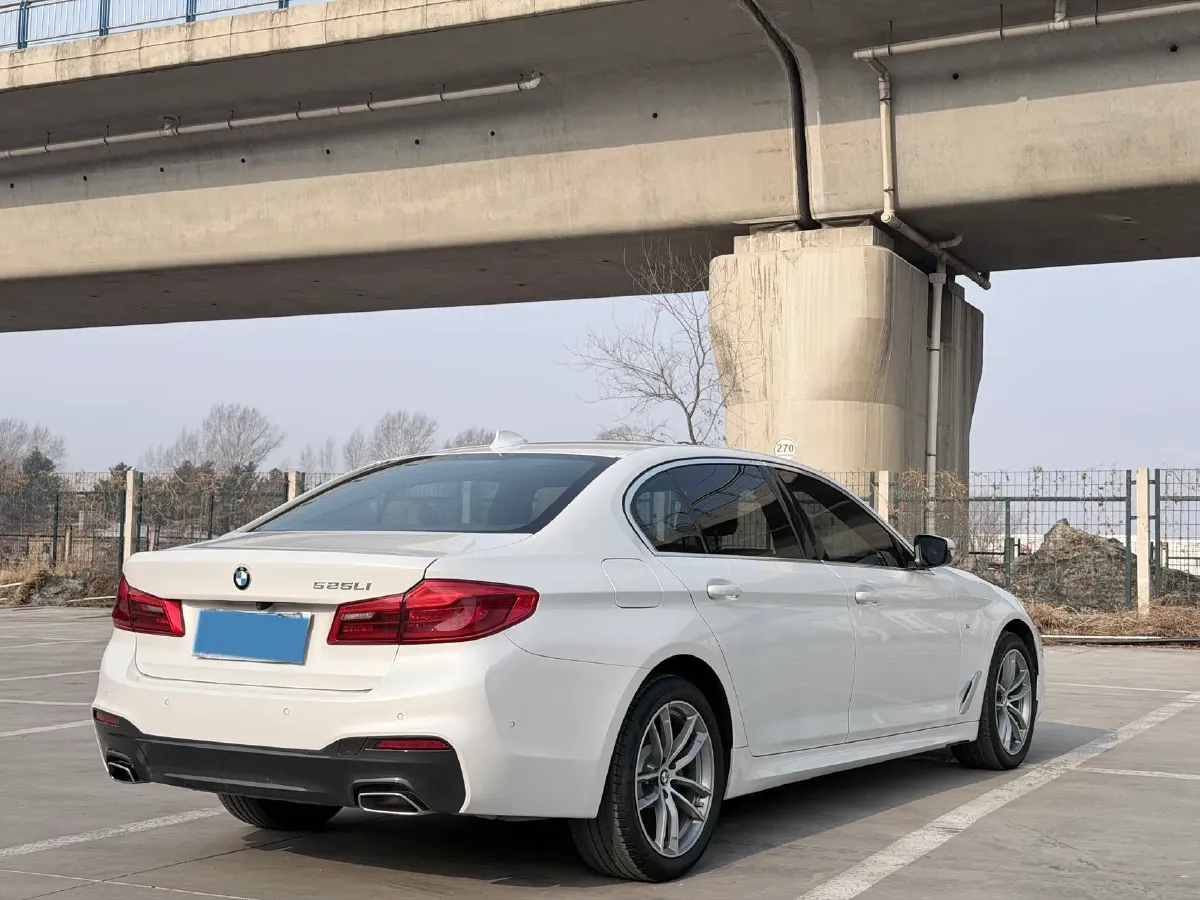 2020 BMW 5 Series 2.0T 184HP L4 8AT,autocango,china used car exporter,china ev exporter,chinese used car exporter,chinese used ev exporter