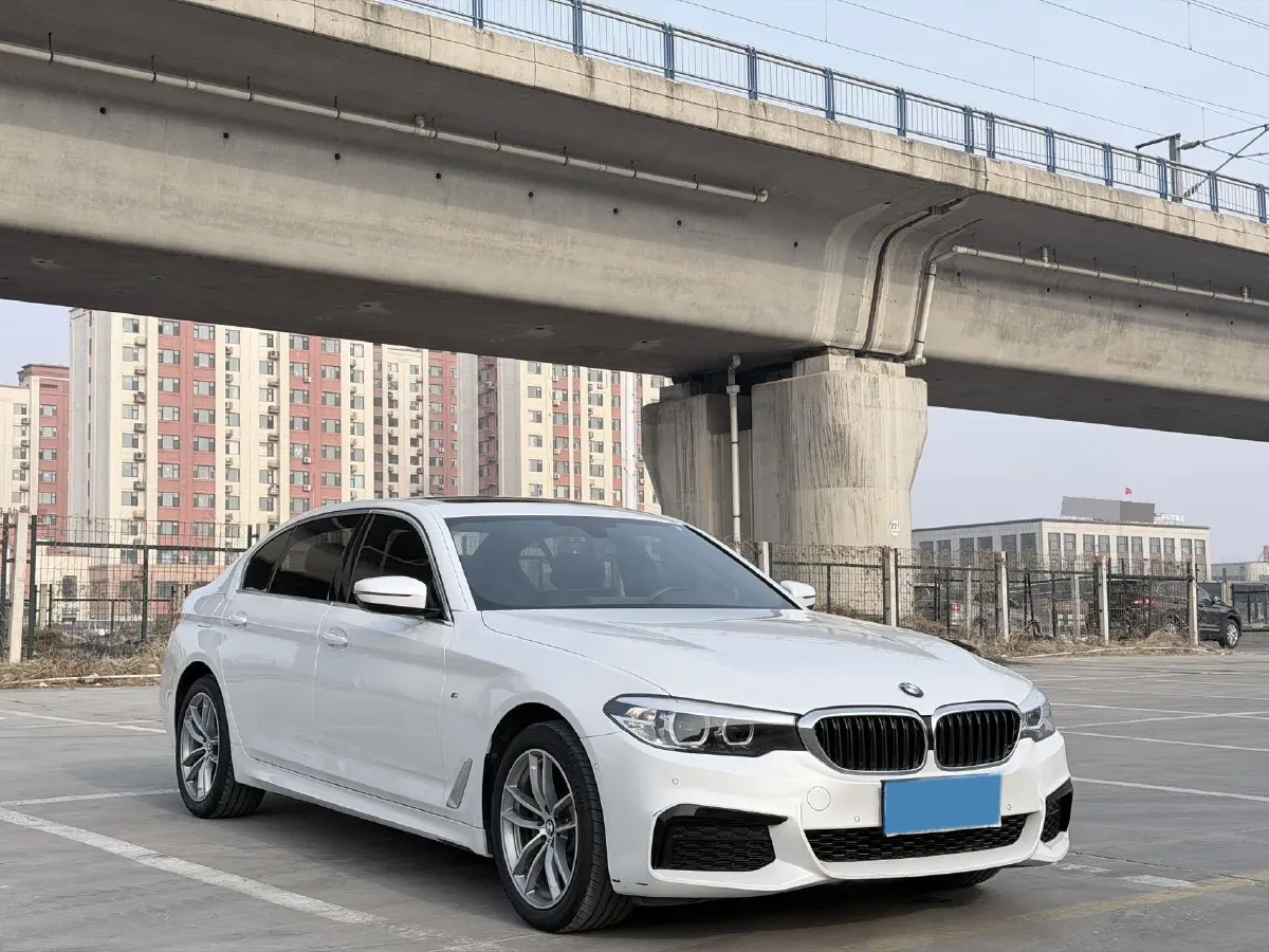 2020 BMW 5 Series 2.0T 184HP L4 8AT,autocango,china used car exporter,china ev exporter,chinese used car exporter,chinese used ev exporter