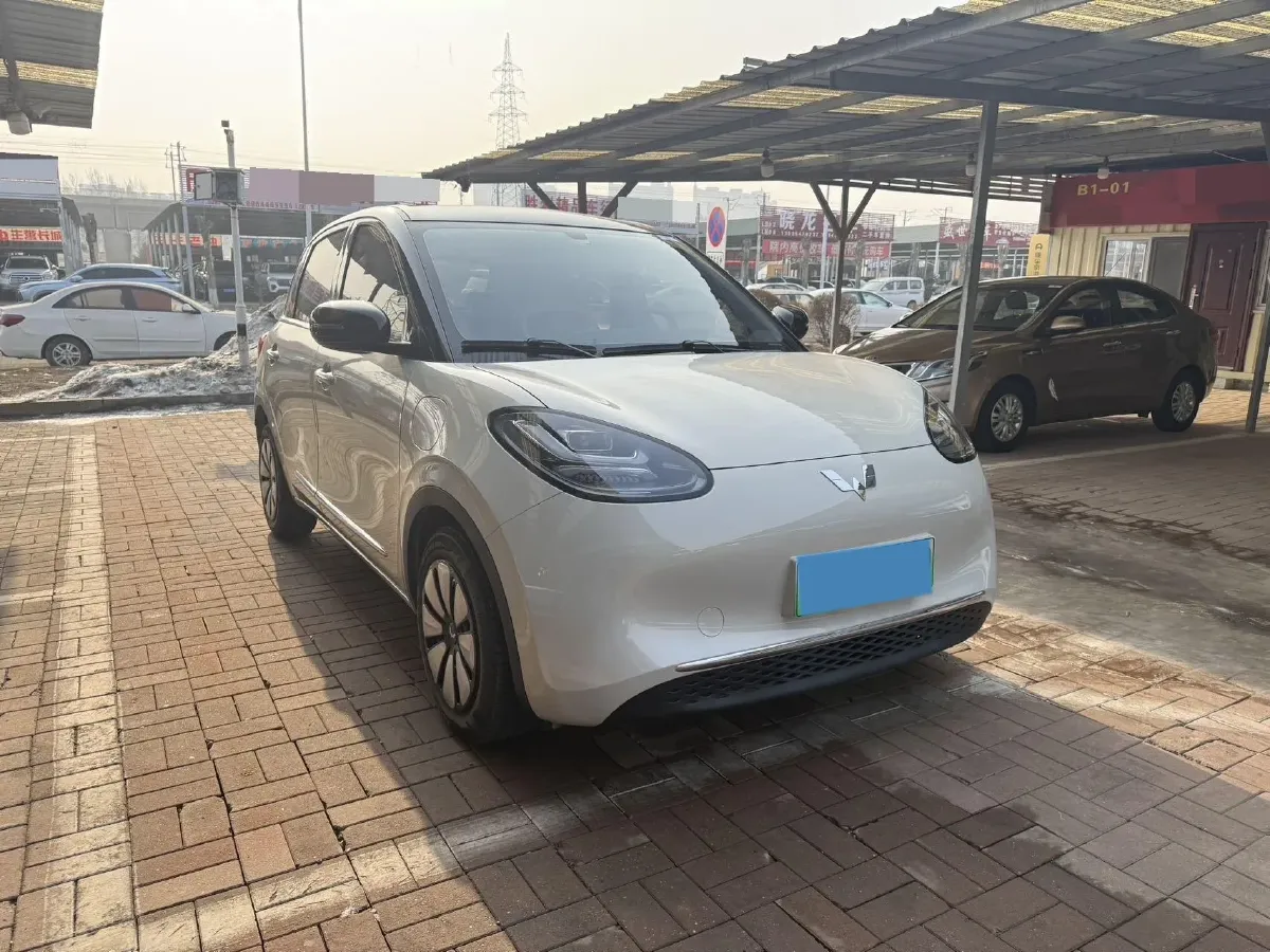 2024 WuLing BinGuo BEV 31.9KWH,autocango,china used car exporter,china ev exporter,chinese used car exporter,chinese used ev exporter