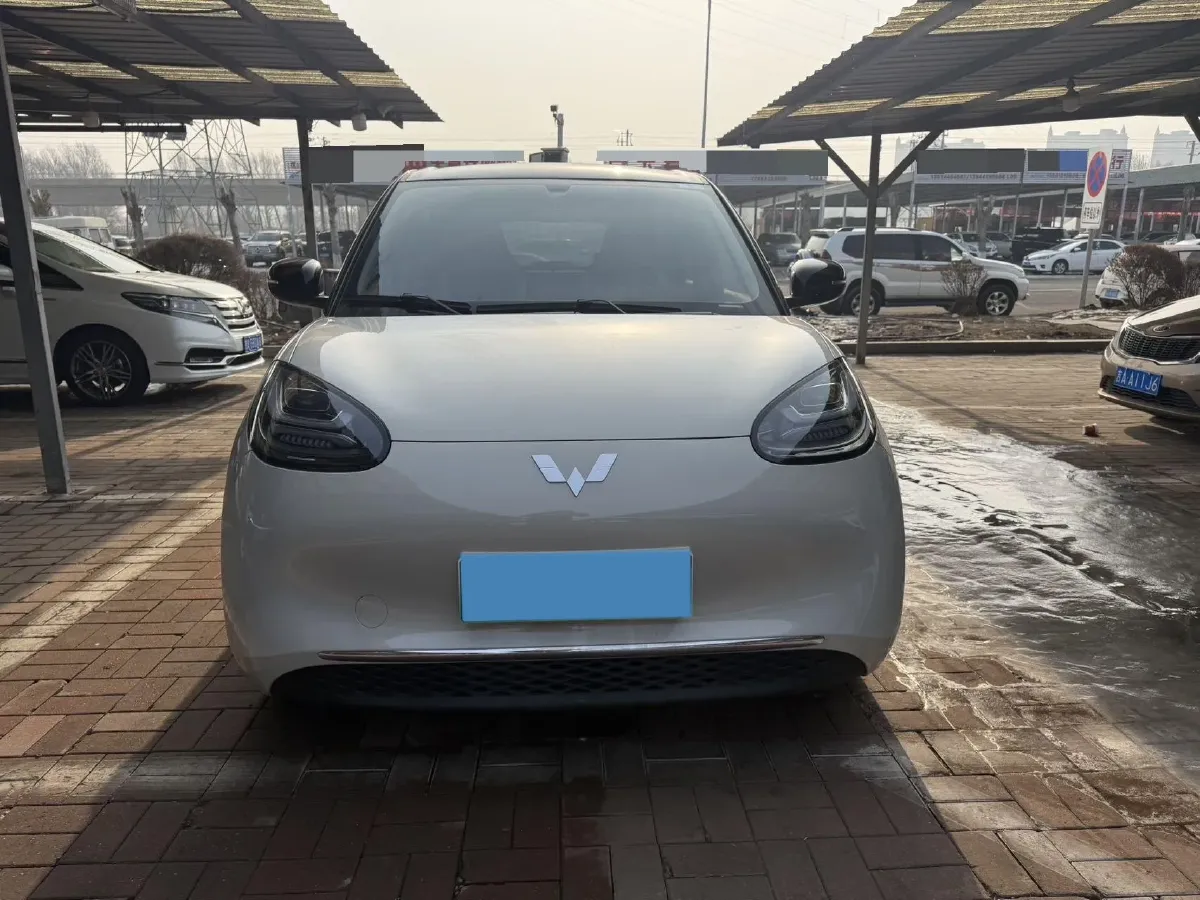 2024 WuLing BinGuo BEV 31.9KWH,autocango,china used car exporter,china ev exporter,chinese used car exporter,chinese used ev exporter