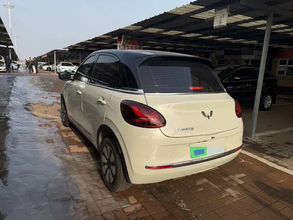 2024 WuLing BinGuo BEV 31.9KWH,autocango,china used car exporter,china ev exporter,chinese used car exporter,chinese used ev exporter