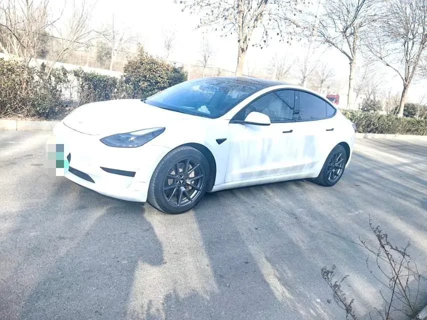 2021 Tesla Model 3 BEV 55KWH,autocango,china used car exporter,china ev exporter,chinese used car exporter,chinese used ev exporter