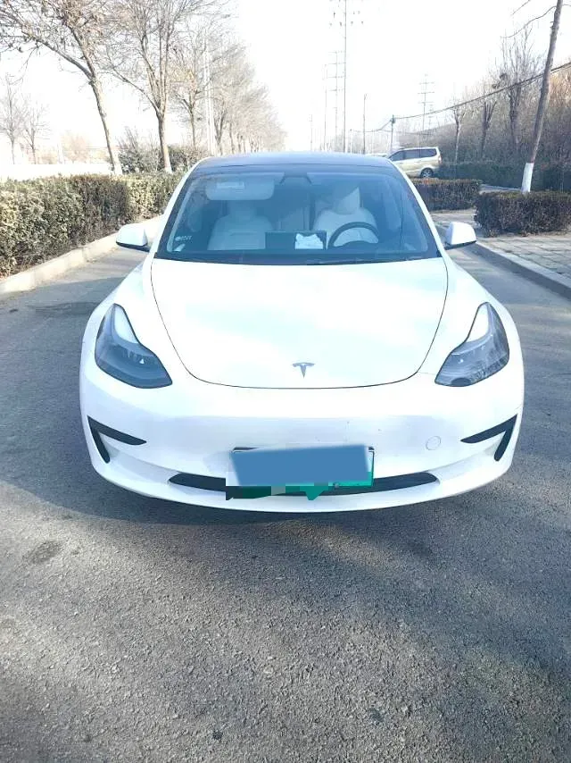 2021 Tesla Model 3 BEV 55KWH,autocango,china used car exporter,china ev exporter,chinese used car exporter,chinese used ev exporter