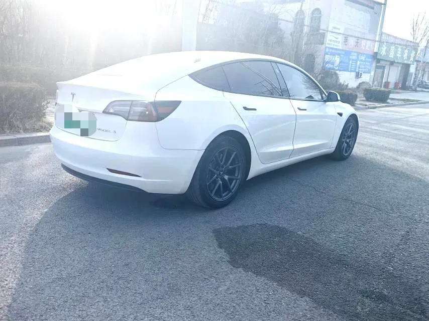 2021 Tesla Model 3 BEV 55KWH,autocango,china used car exporter,china ev exporter,chinese used car exporter,chinese used ev exporter