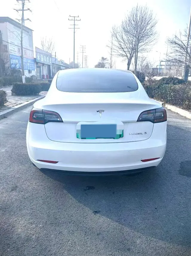 2021 Tesla Model 3 BEV 55KWH,autocango,china used car exporter,china ev exporter,chinese used car exporter,chinese used ev exporter
