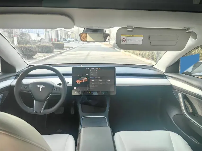 2021 Tesla Model 3 BEV 55KWH,autocango,china used car exporter,china ev exporter,chinese used car exporter,chinese used ev exporter