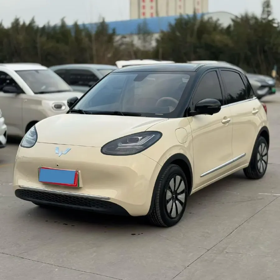 2025 WuLing BinGuo BEV,autocango,china used car exporter,china ev exporter,chinese used car exporter,chinese used ev exporter