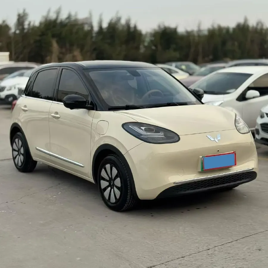 2025 WuLing BinGuo BEV,autocango,china used car exporter,china ev exporter,chinese used car exporter,chinese used ev exporter