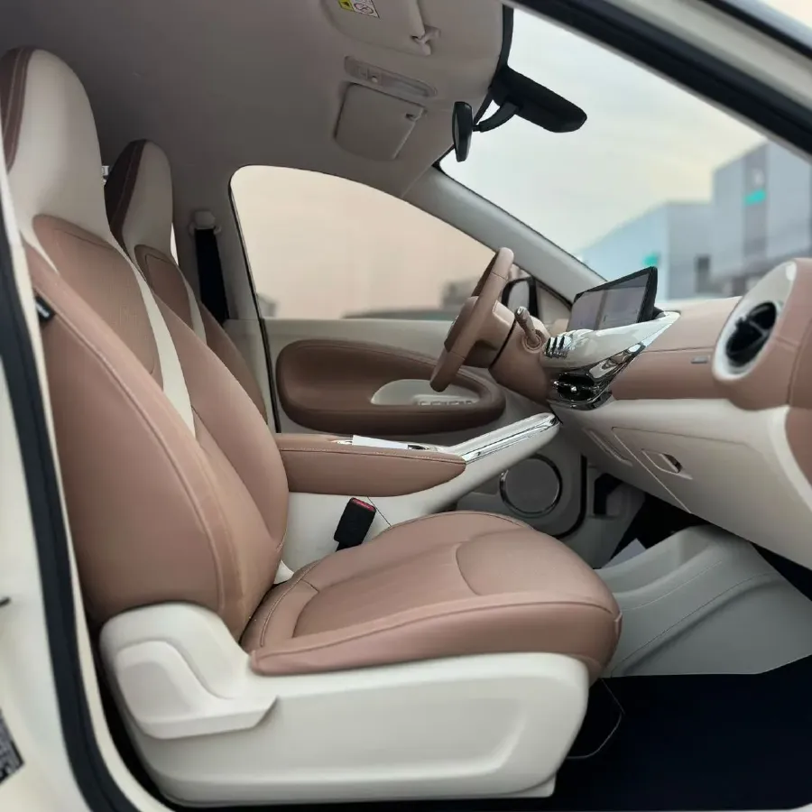 2025 WuLing BinGuo BEV,autocango,china used car exporter,china ev exporter,chinese used car exporter,chinese used ev exporter