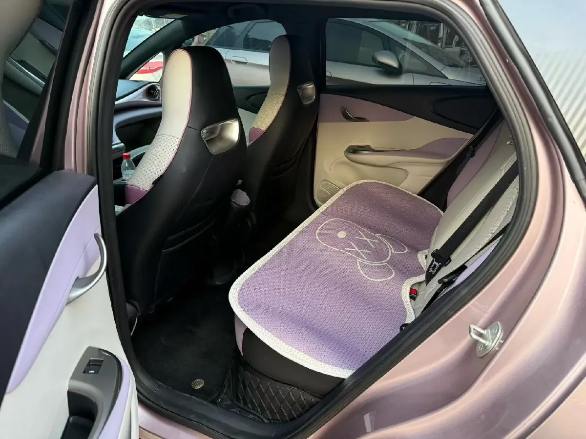 2024 BYD Dolphin BEV 44.928KWH,autocango,china used car exporter,china ev exporter,chinese used car exporter,chinese used ev exporter