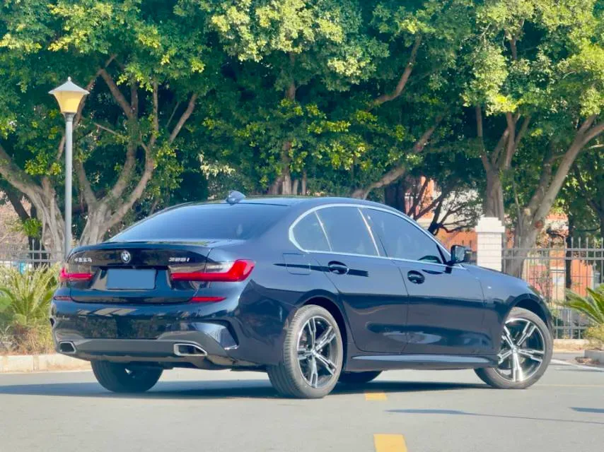 2022 BMW 3 Series 2.0T 184HP L4 8AT,autocango,china used car exporter,china ev exporter,chinese used car exporter,chinese used ev exporter