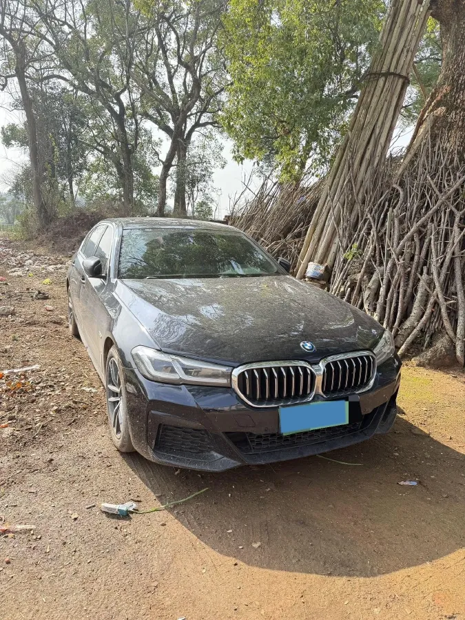 2022 BMW 5 Series 2.0T 184HP L4 8AT PHEV 17.7KWH,autocango,china used car exporter,china ev exporter,chinese used car exporter,chinese used ev exporter