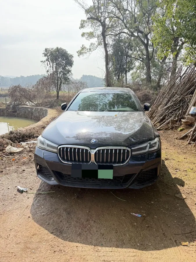 2022 BMW 5 Series 2.0T 184HP L4 8AT PHEV 17.7KWH,autocango,china used car exporter,china ev exporter,chinese used car exporter,chinese used ev exporter