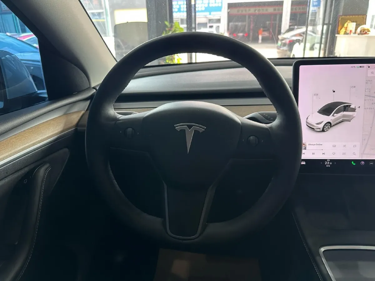 2021 Tesla Model Y BEV 60KWH,autocango,china used car exporter,china ev exporter,chinese used car exporter,chinese used ev exporter