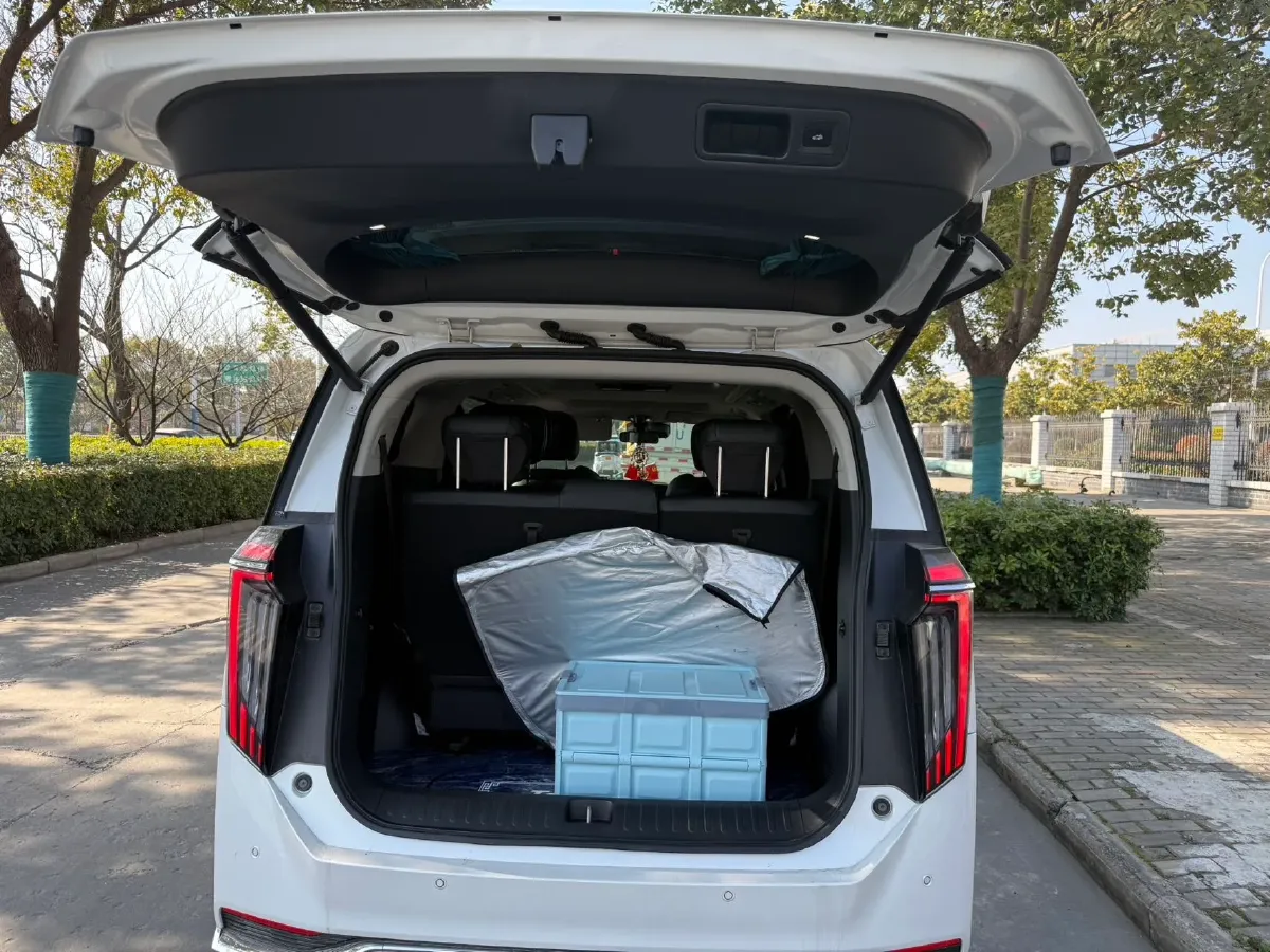 2023 GAC Trumpchi M8 2.0T 252HP L4 8AT,autocango,china used car exporter,china ev exporter,chinese used car exporter,chinese used ev exporter